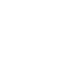Network Icon