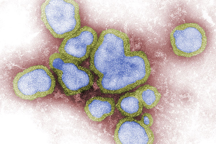 influenza countermeasure imagery