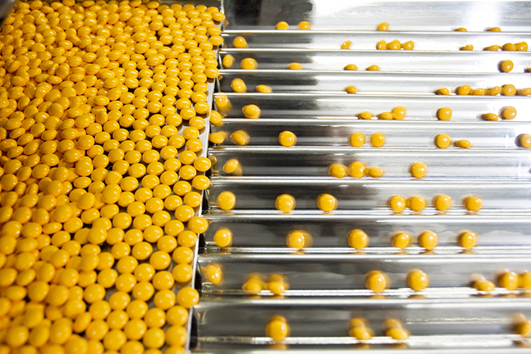 Pharmaceutical Manufacturing