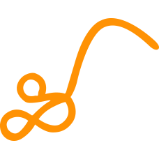 Ebola Icon