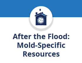 After the Flood: Mold-Specific Resources 