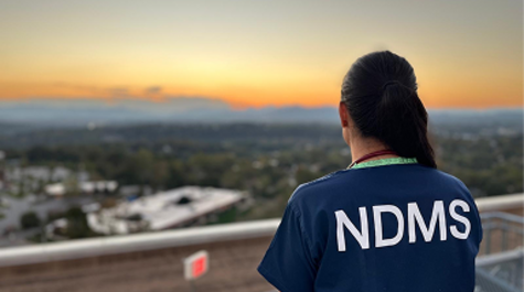 NDMS Image