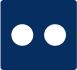 Flickr Icon